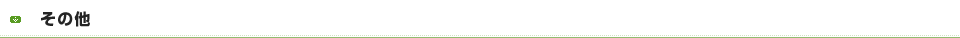 その他